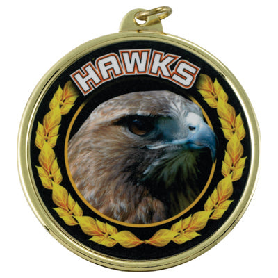2 1/4" Hawks Medal