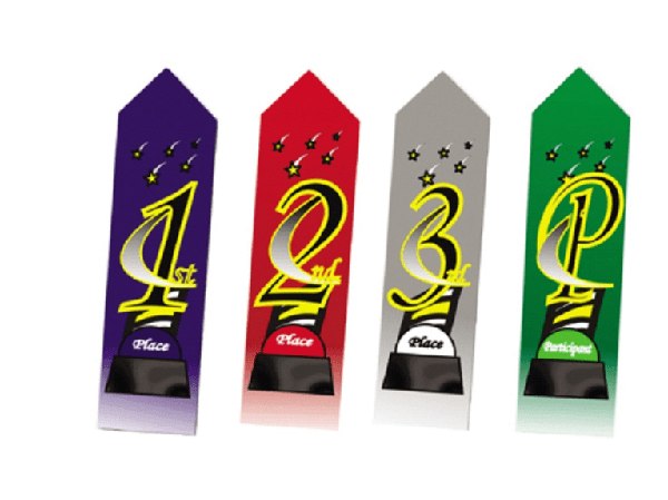 2" x 8" Colorful Place Ribbon Pack with Card & String
