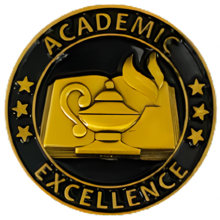 Academic Excellence Premium Lapel Pin