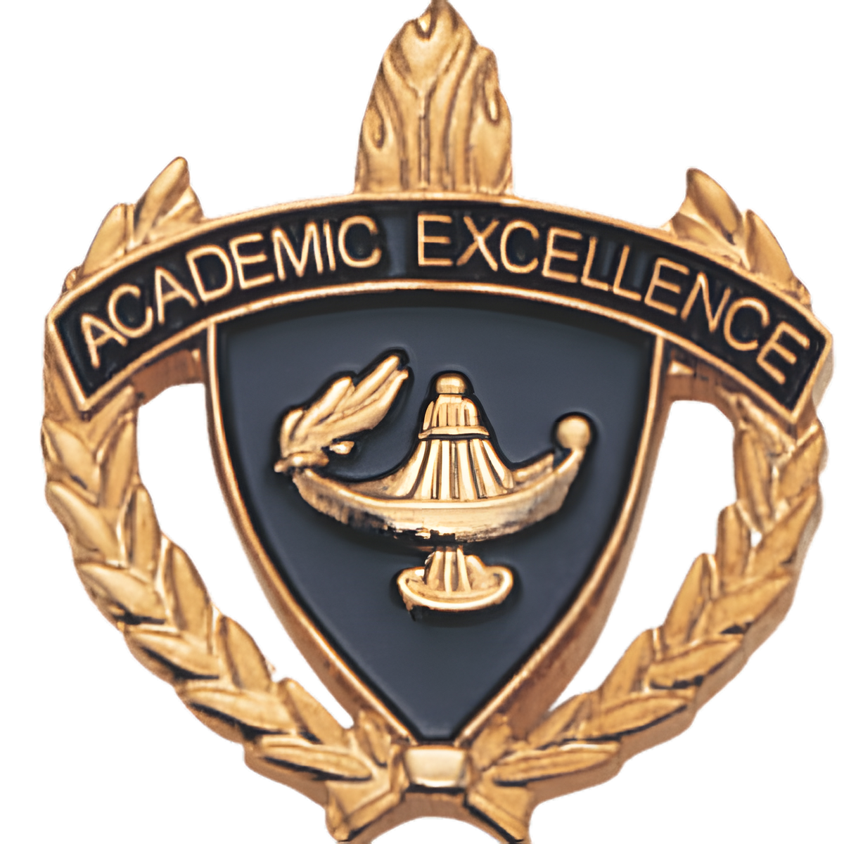 Academic Excellence Pins