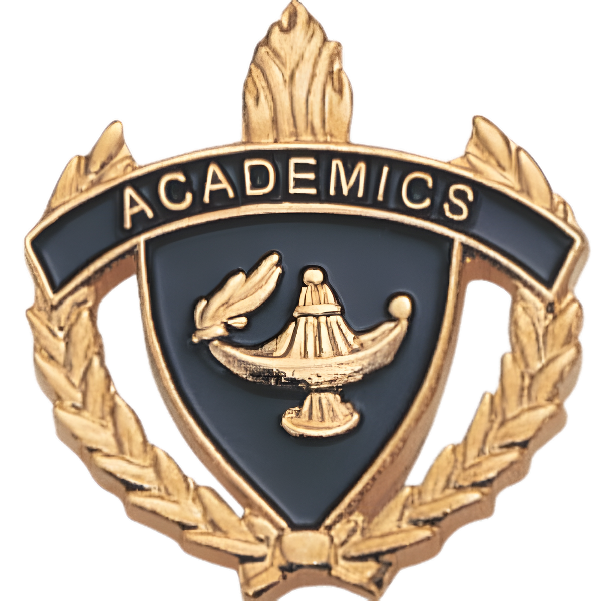 Academics Pins