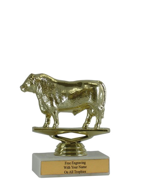 Bull Budget Trophy