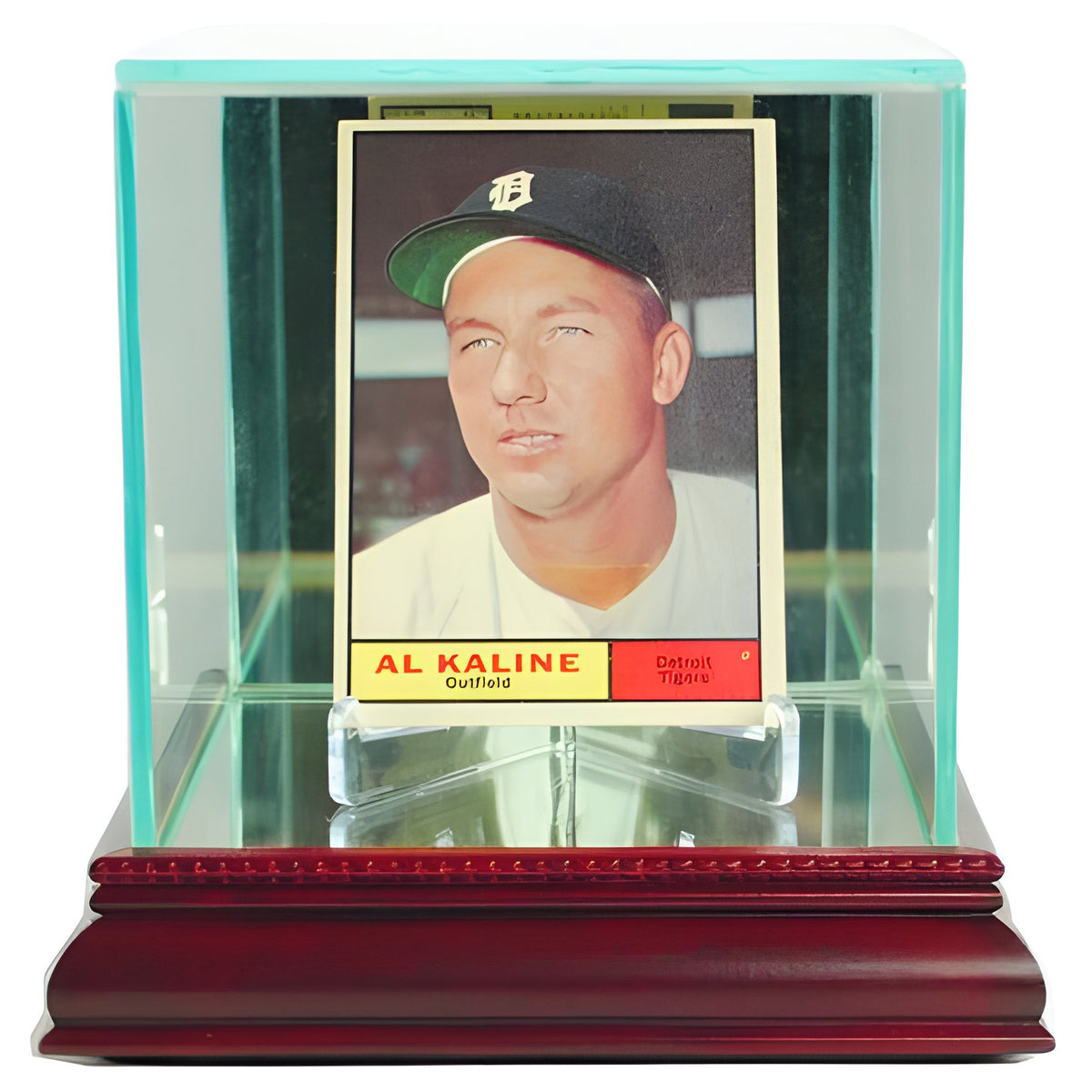 Trading Card Glass Display Case