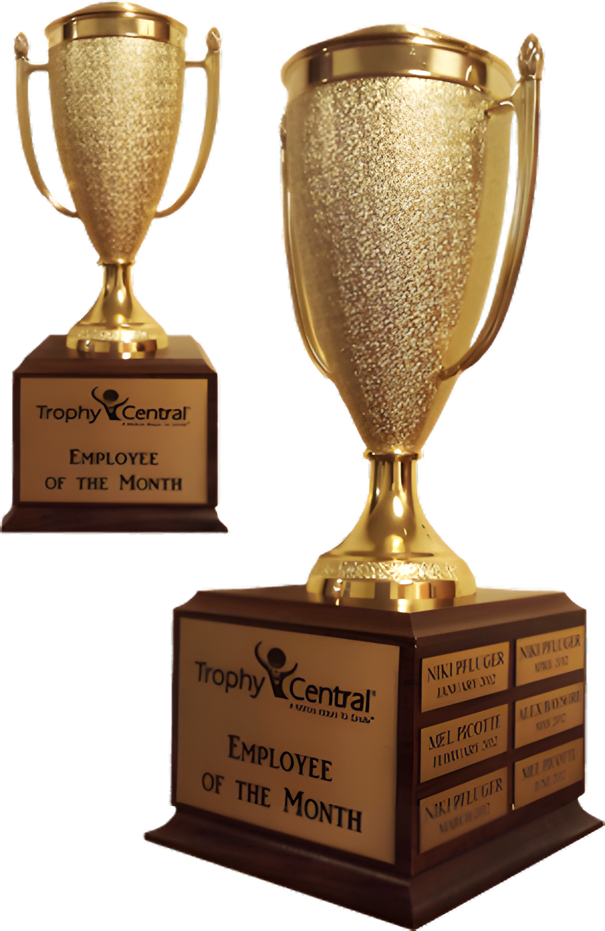 Champion's Cup Trophy