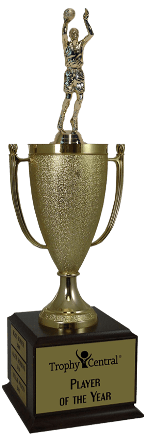 Basketball Champion's Cup Trophy