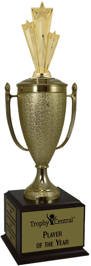 Star Performer Champion's Cup Trophy
