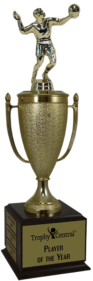 Volleyball Champion's Cup Trophy