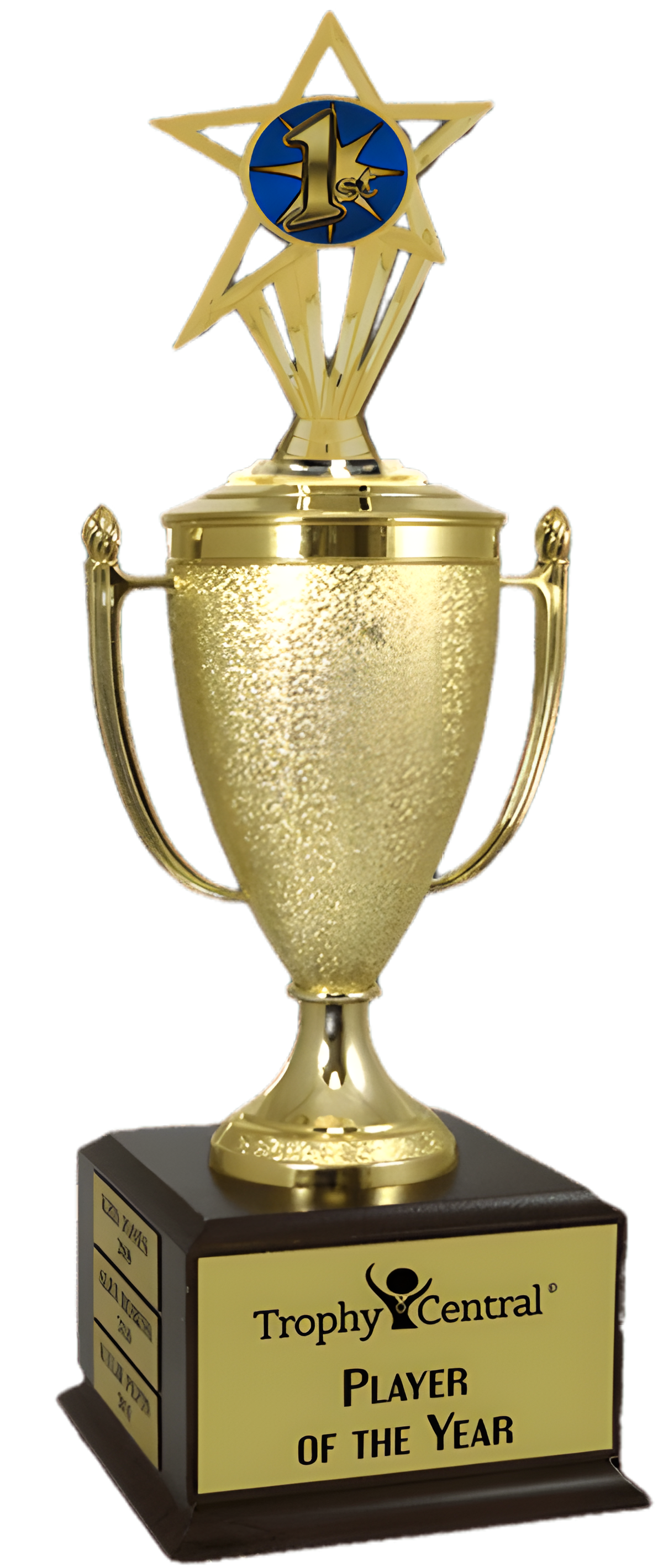 1st Place Champion's Cup Trophy with Insert