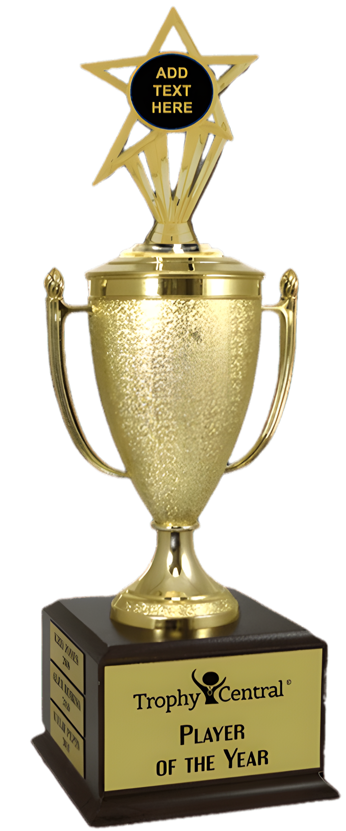 Blank Champion's Cup Trophy with Insert