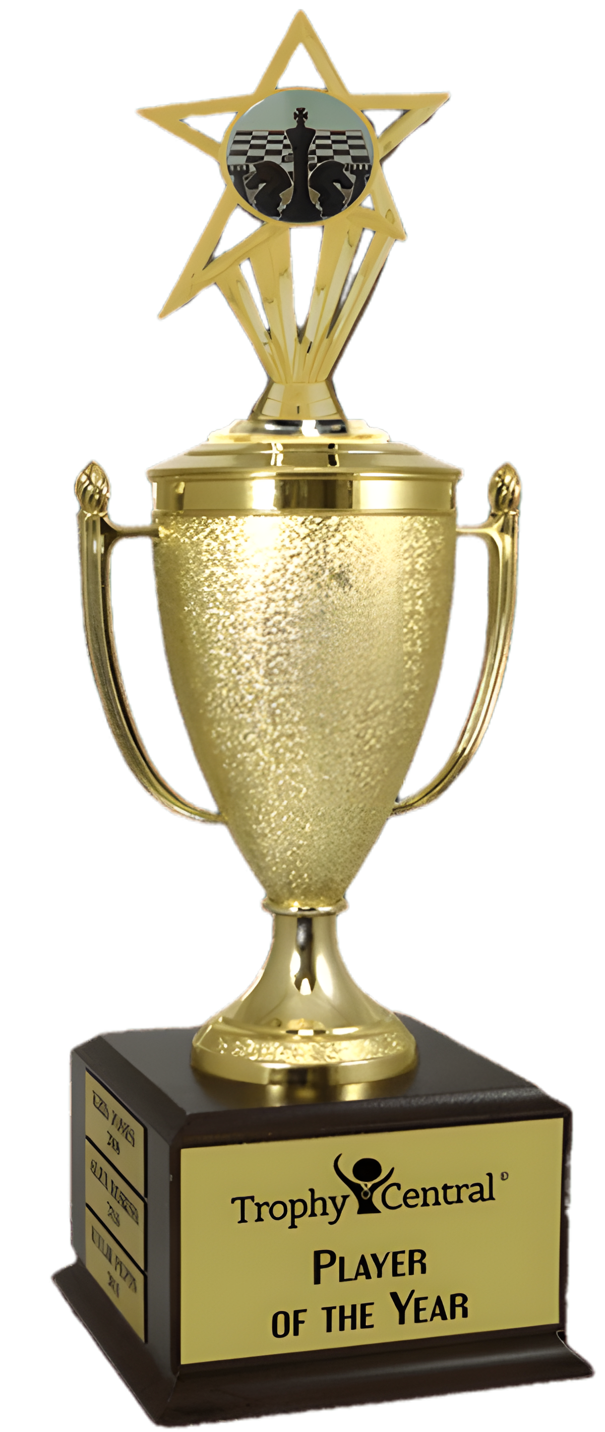 Chess Champion's Cup Trophy with Insert