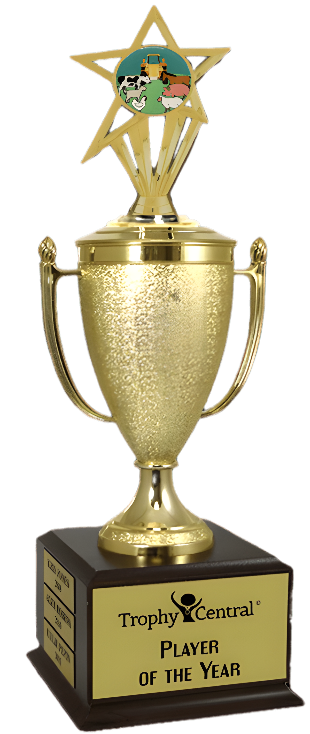 County Fair Champion's Cup Trophy with Insert