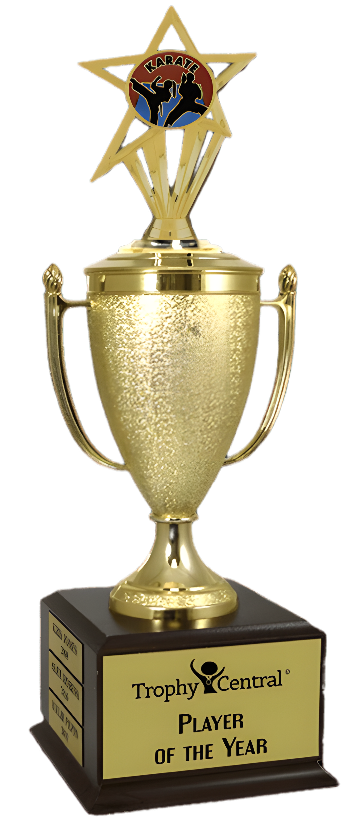 Karate Champion's Cup Trophy with Insert