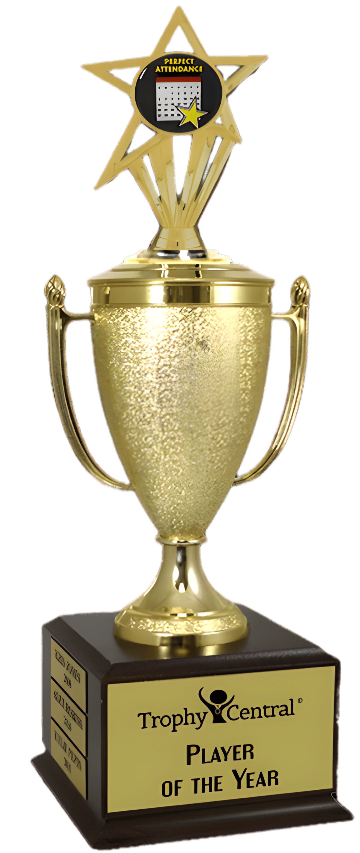 Perfect Attendance Champion's Cup Trophy with Insert