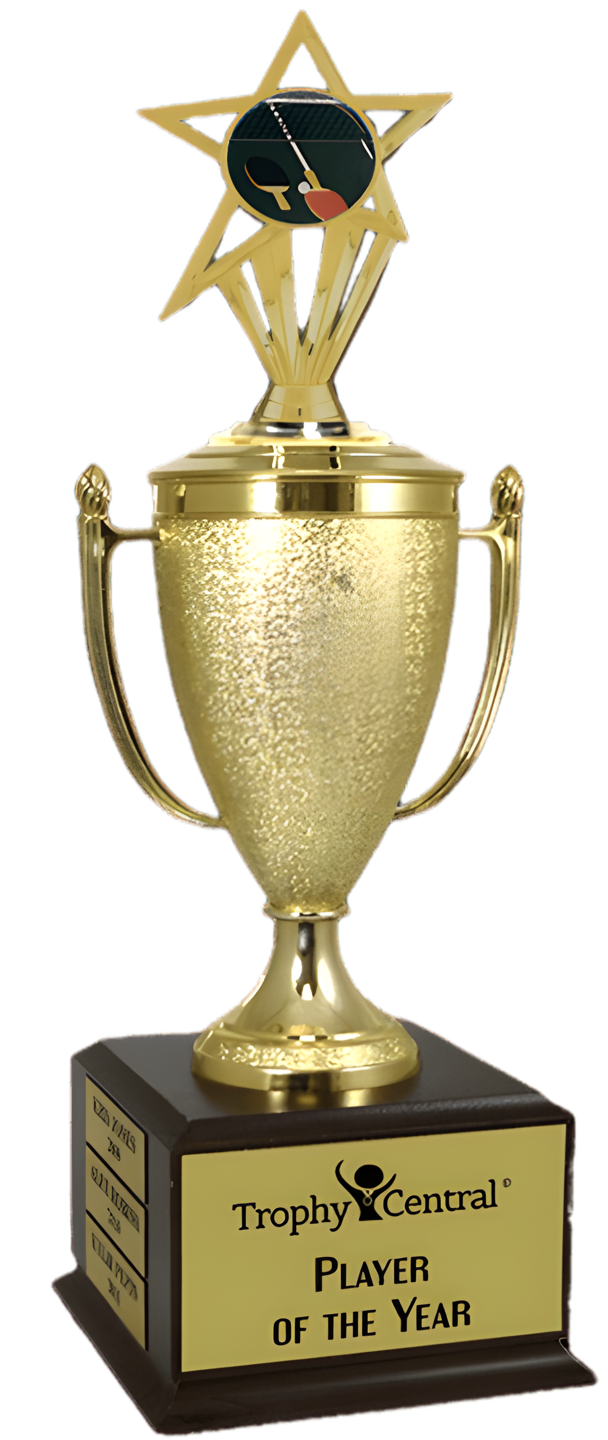 Table Tennis Champion's Cup Trophy with Insert