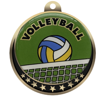 Volleyball Insert Medal