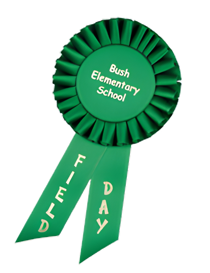 Custom Mini-Rosette Ribbon