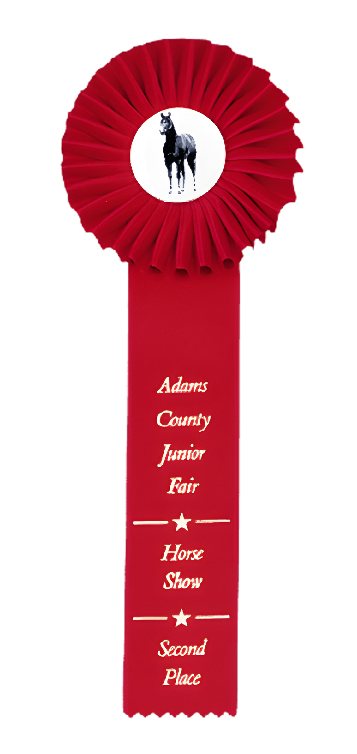Custom Single Streamer Rosette Ribbon