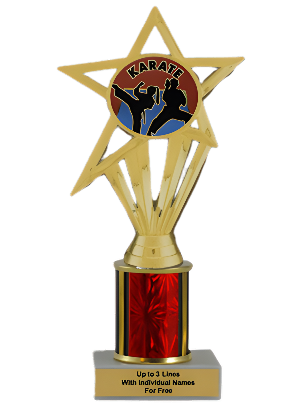 Budget Karate Column Insert Trophy