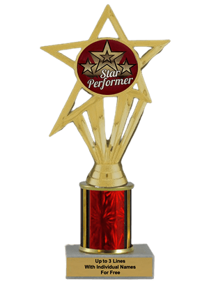 Budget Star Performer Column Insert Trophy