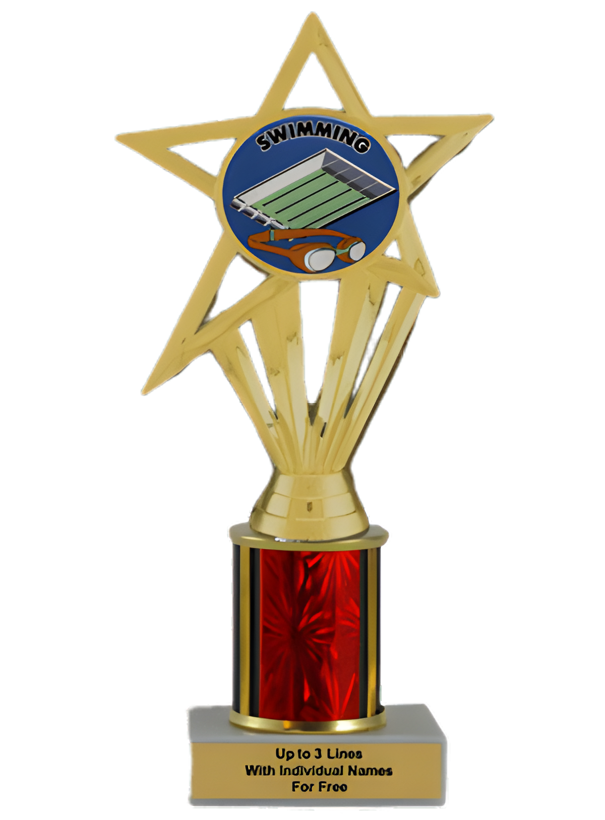 Budget Swimming Column Insert Trophy