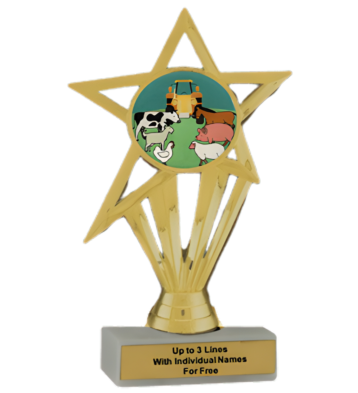 Budget County Fair Insert Trophy