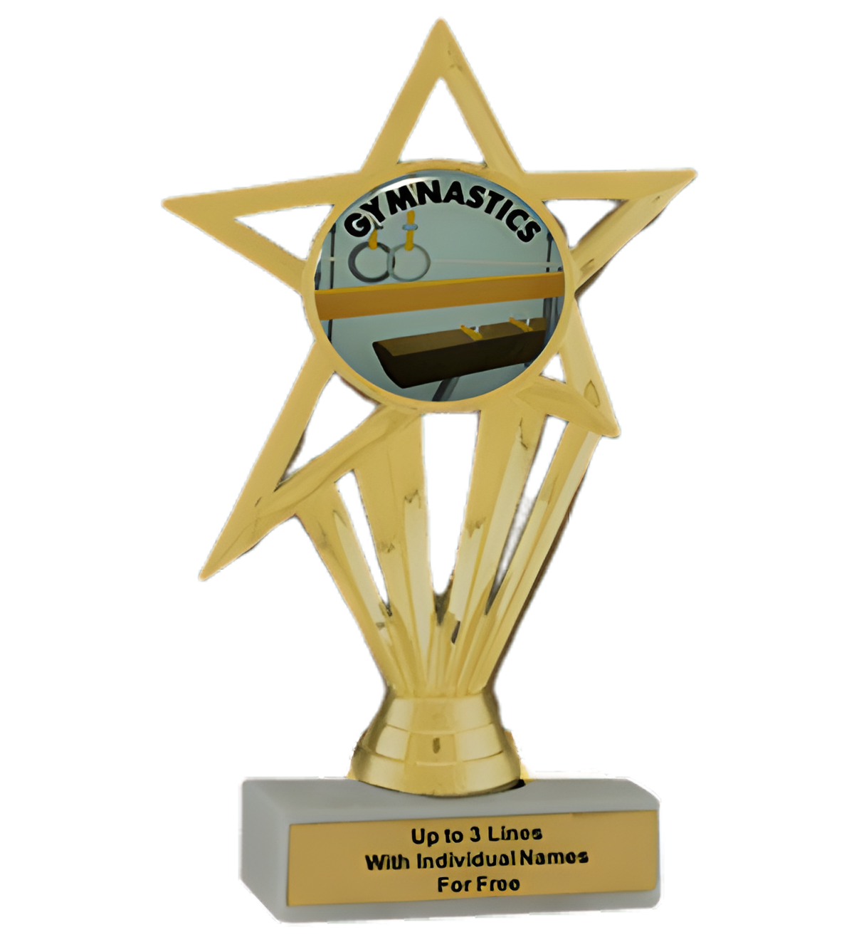 Budget Gymnastics Insert Trophy