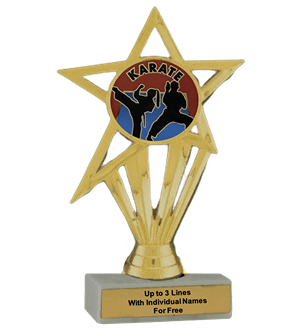 Budget Karate Insert Trophy