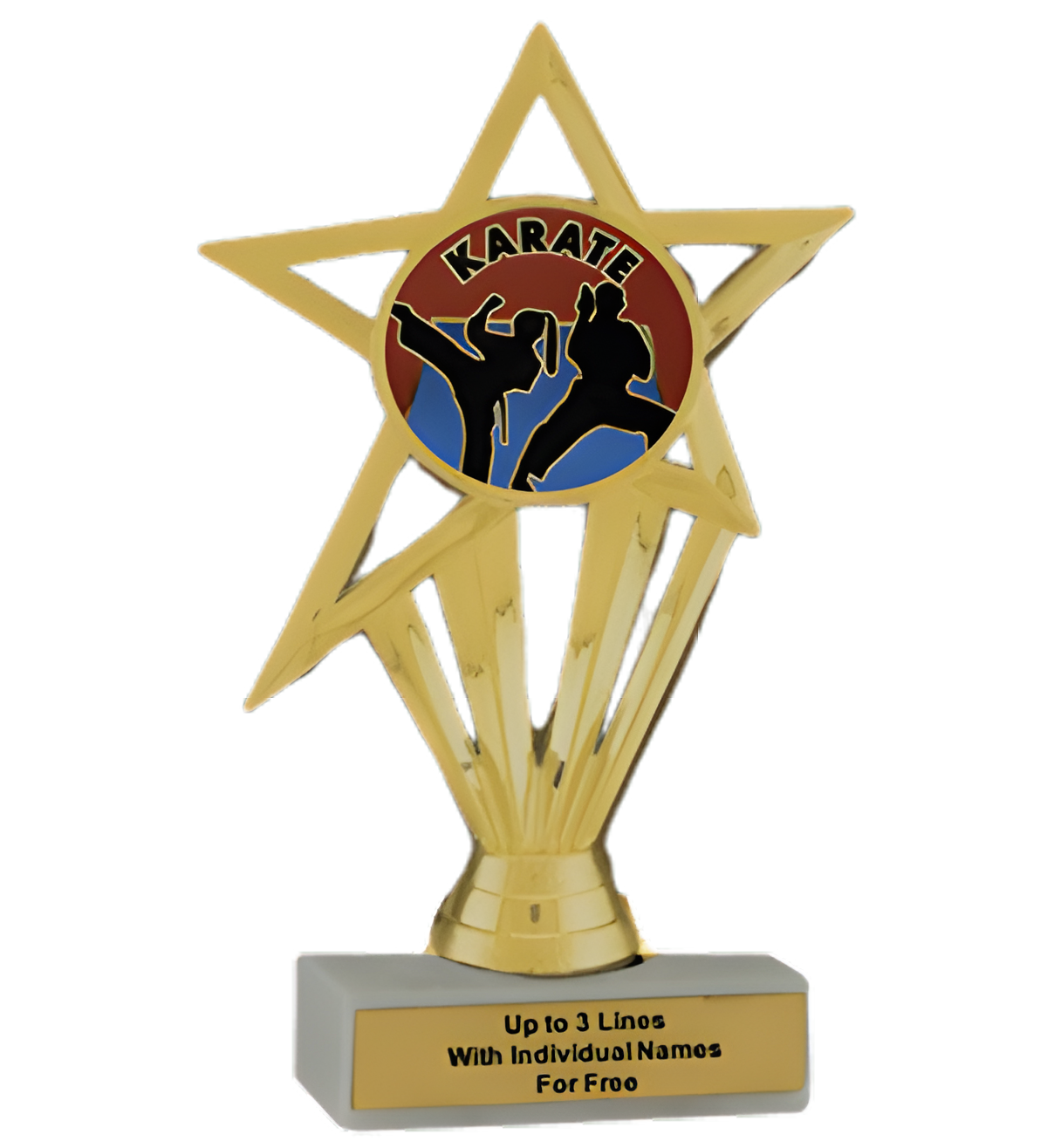 Budget Karate Insert Trophy