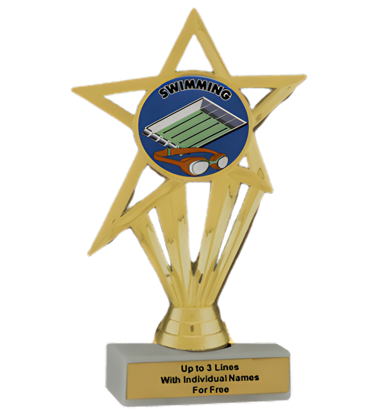 Budget Swimming Insert Trophy