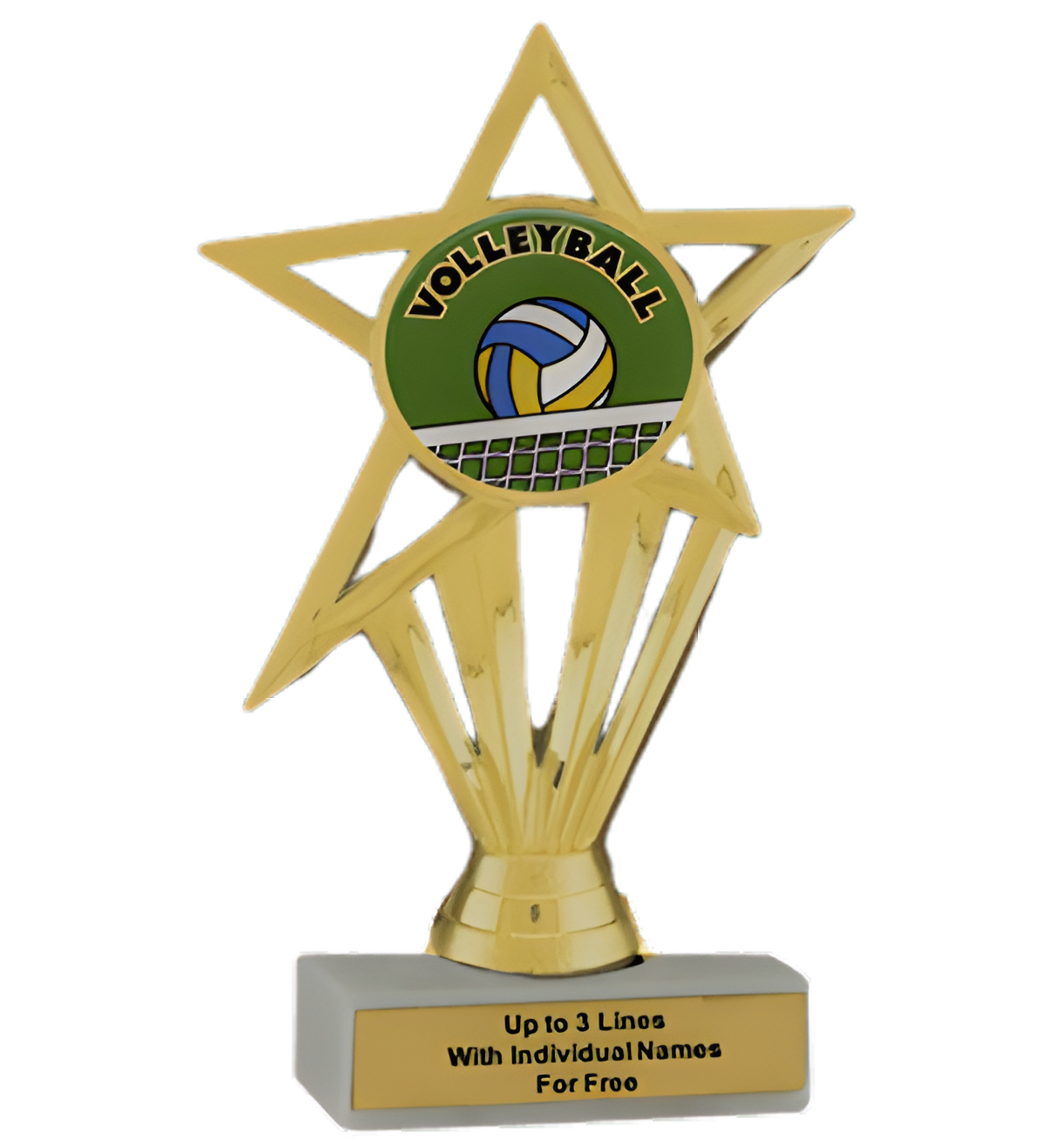 Budget Volleyball Insert Trophy