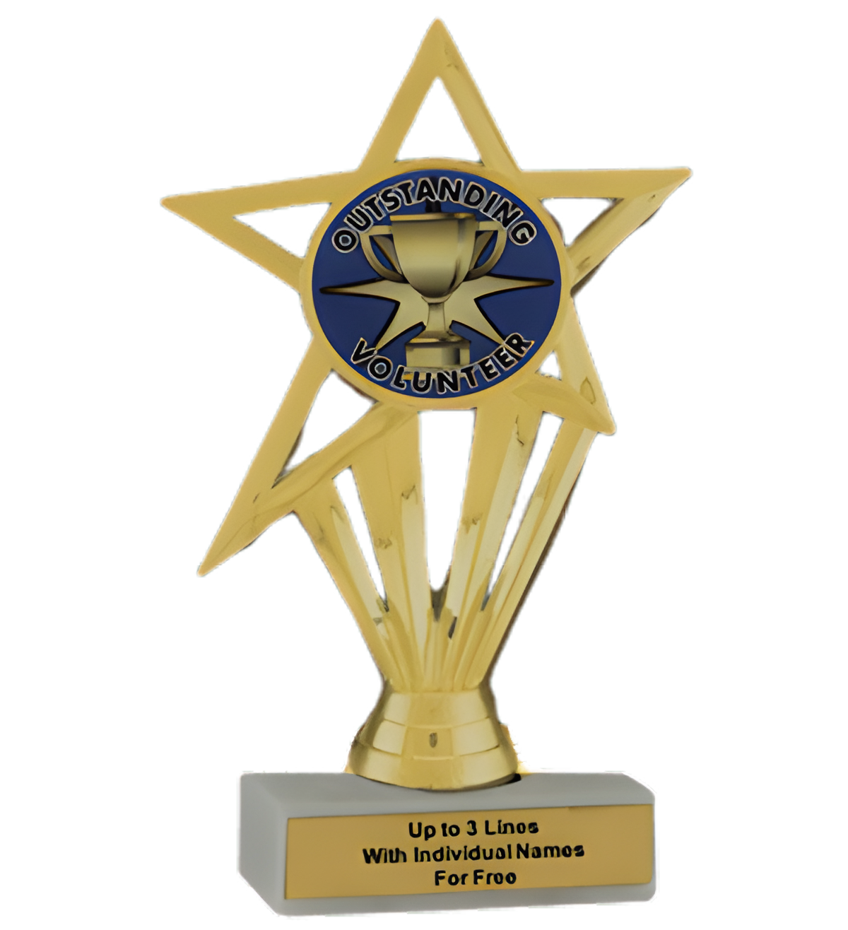 Budget Volunteer Insert Trophy