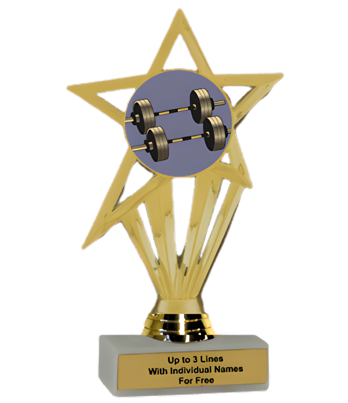 Economy Participation Insert Trophy - Weightlifting Excellence