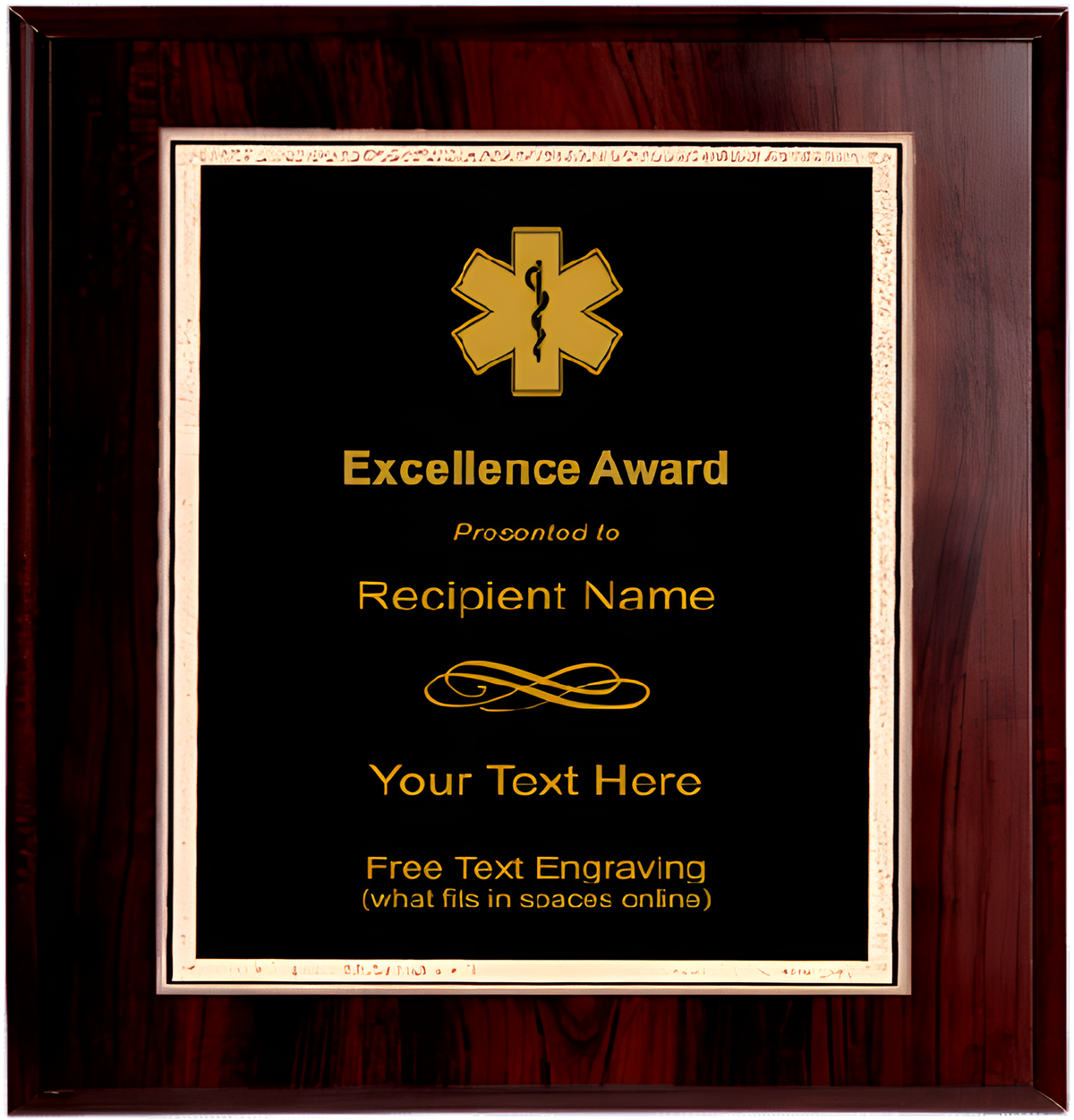 EMS Plaque