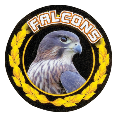 Falcons Colorful Mascot Medal Insert