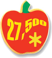 Custom Full Color Lapel Pin