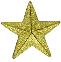 Textured Gold Star Lapel Pin
