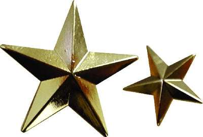Gold Star Lapel Pin