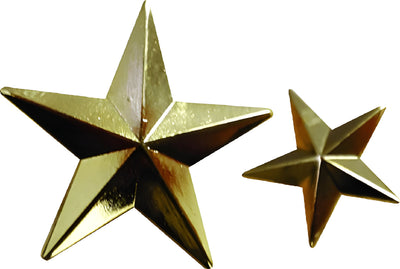 Gold Star Lapel Pin