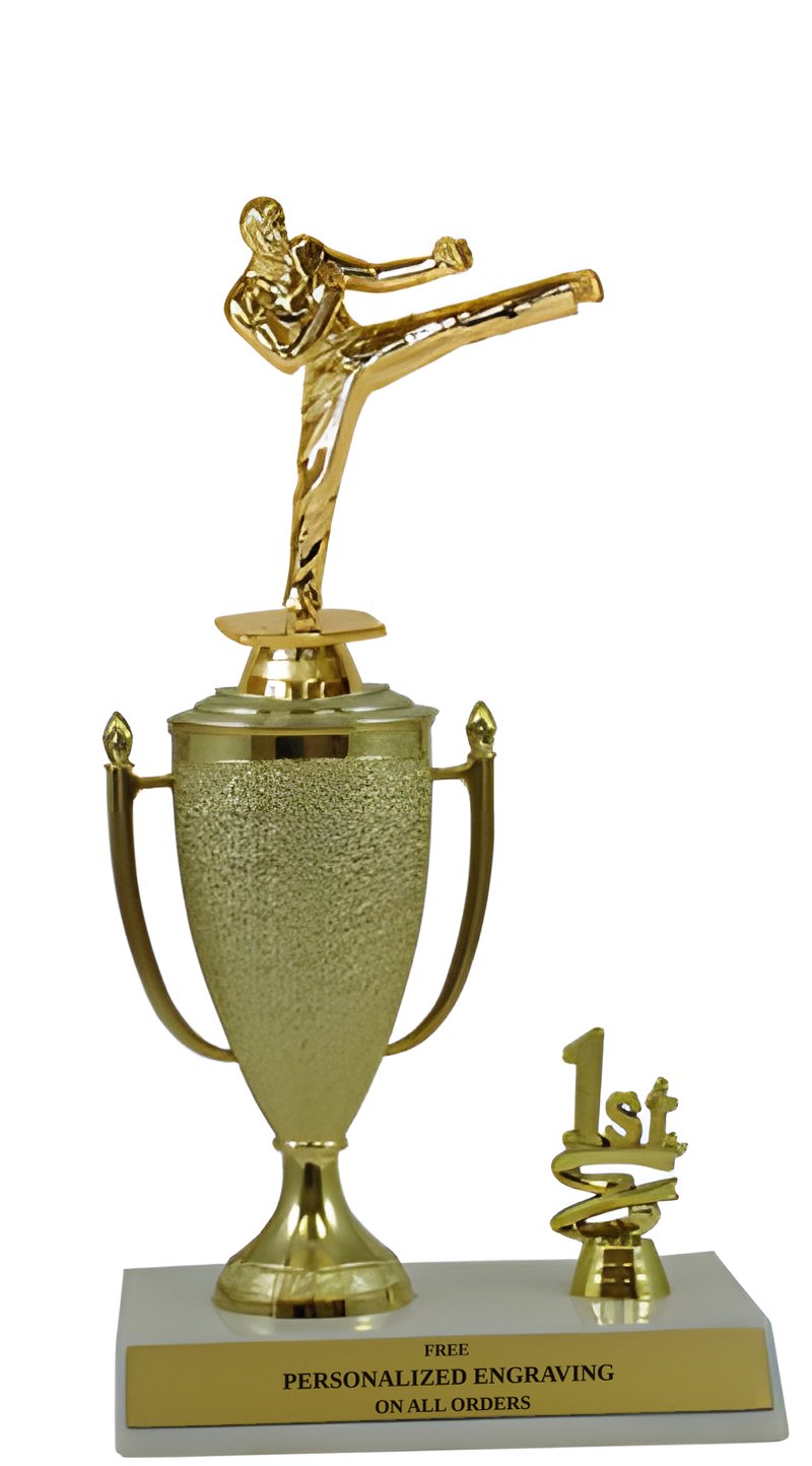 Karate 1st, 2nd and 3rd Place Award Cup Trophy