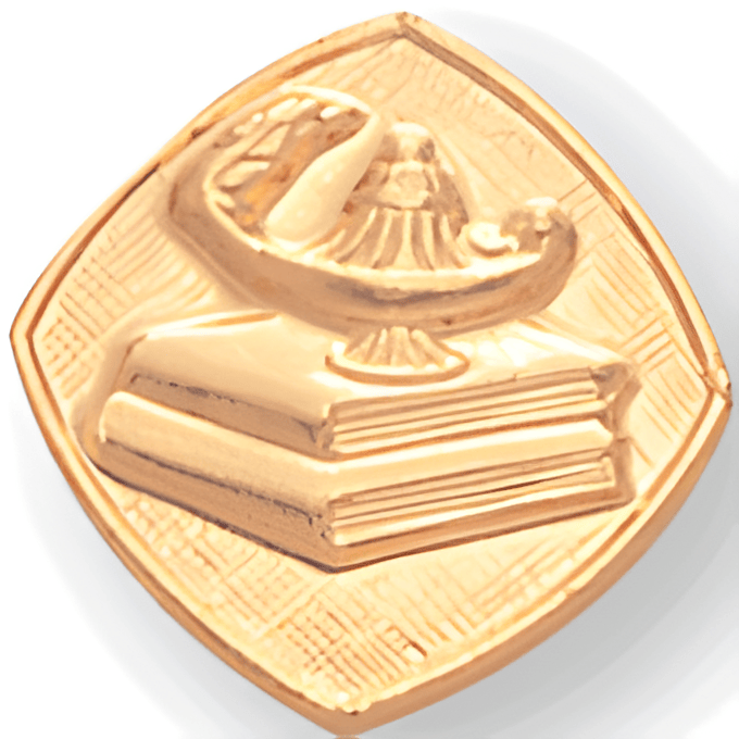 Lamp Of Learning Gold Pin