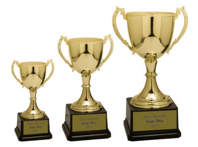 Metal Trophy Cups