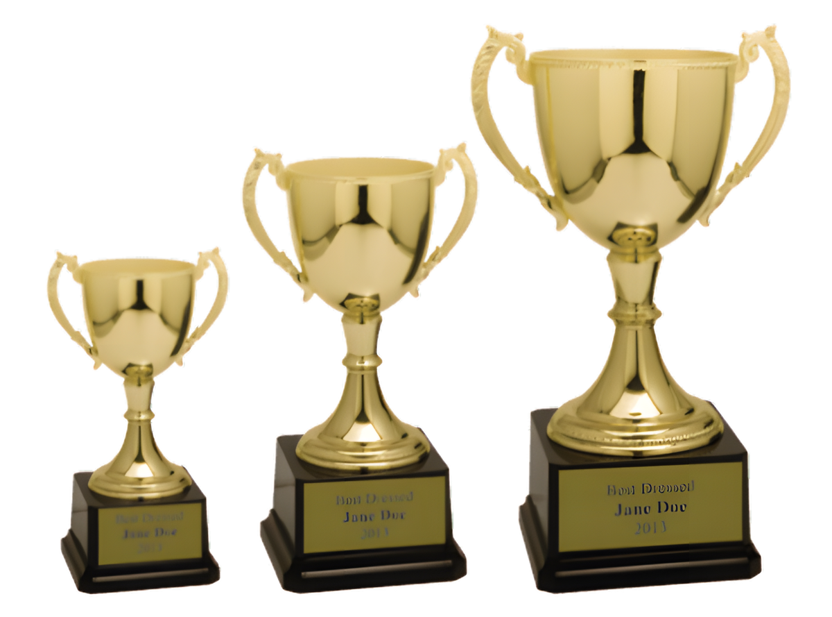 Metal Trophy Cups