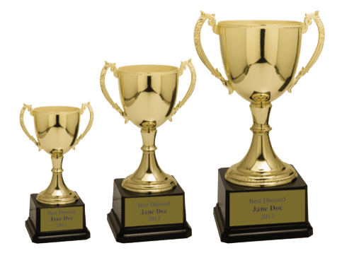 Metal Trophy Cups