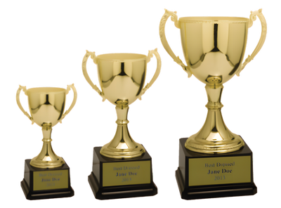 Metal Trophy Cups