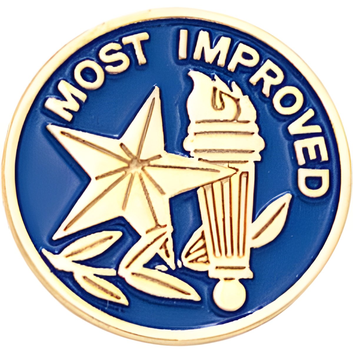 Most Improved Lapel Pin (BR Series)
