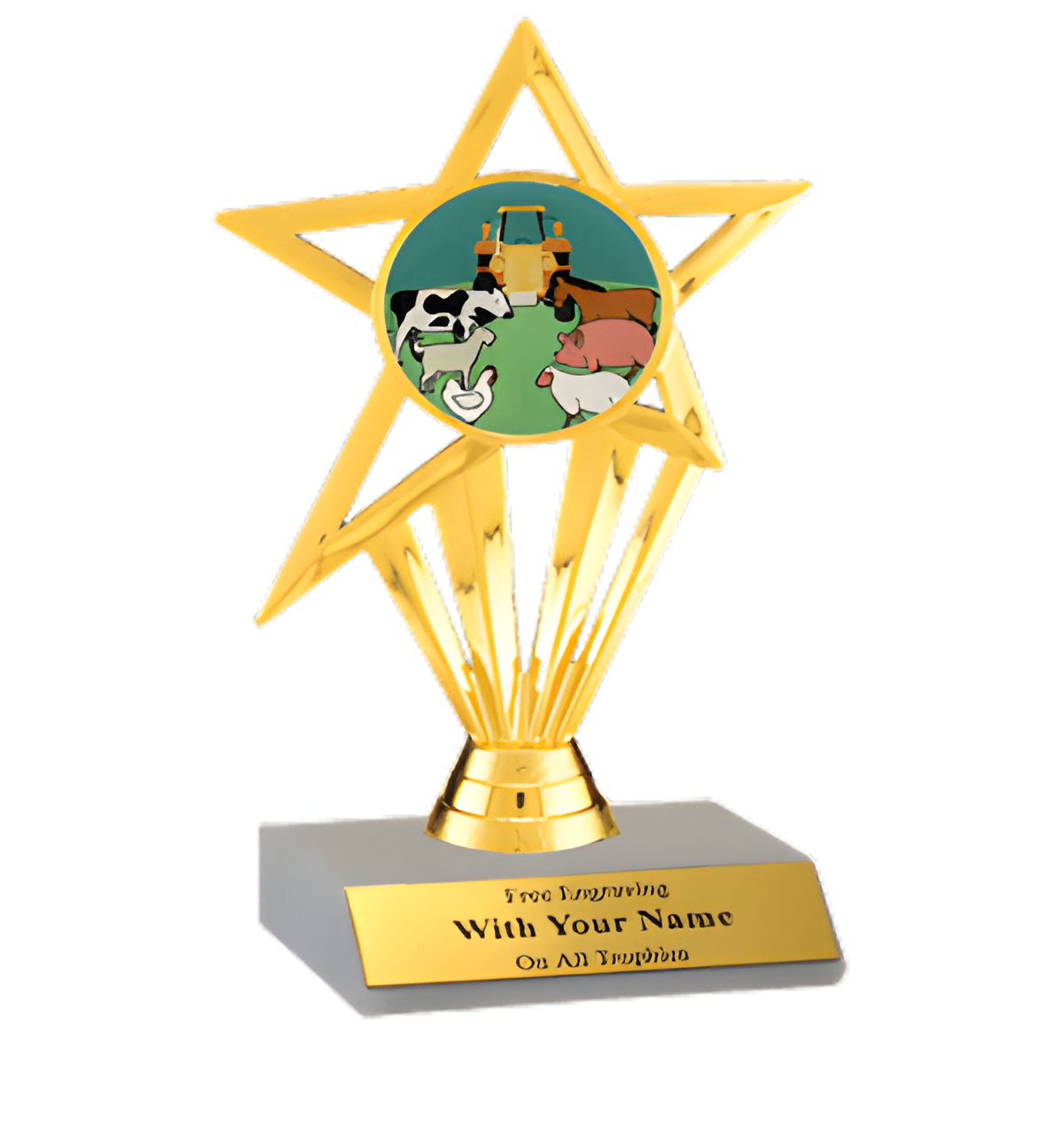 County Fair Participation Insert Trophy