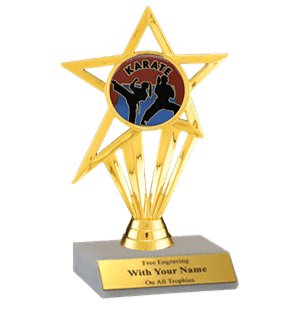Karate Participation Insert Trophy