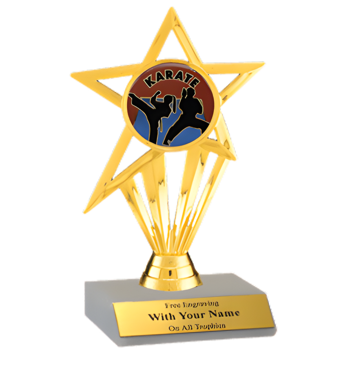 Karate Participation Insert Trophy