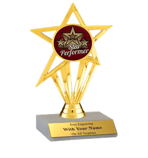 Star Performer Participation Insert Trophy