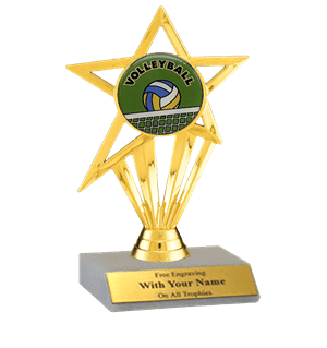 Volleyball Participation Insert Trophy